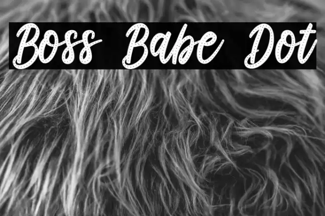 Boss Babe Dot Font examples