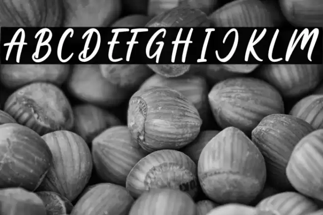 Boss Babe Font examples