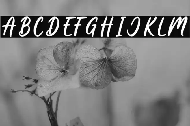 Boss Babe Font examples