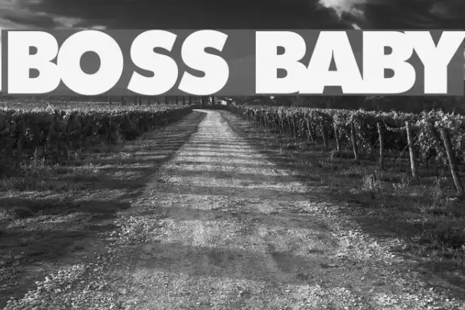 Boss Baby Example 1