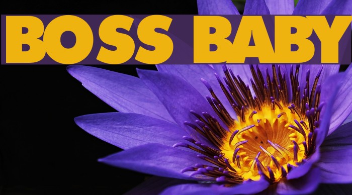 Boss Baby Example 3