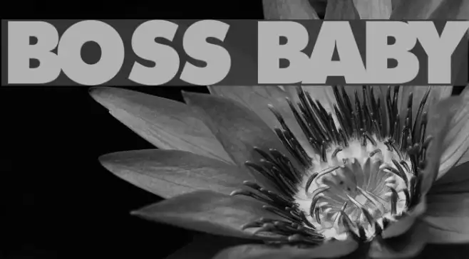 Boss Baby Example 3