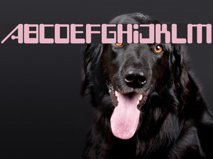 Boss Drum Font examples