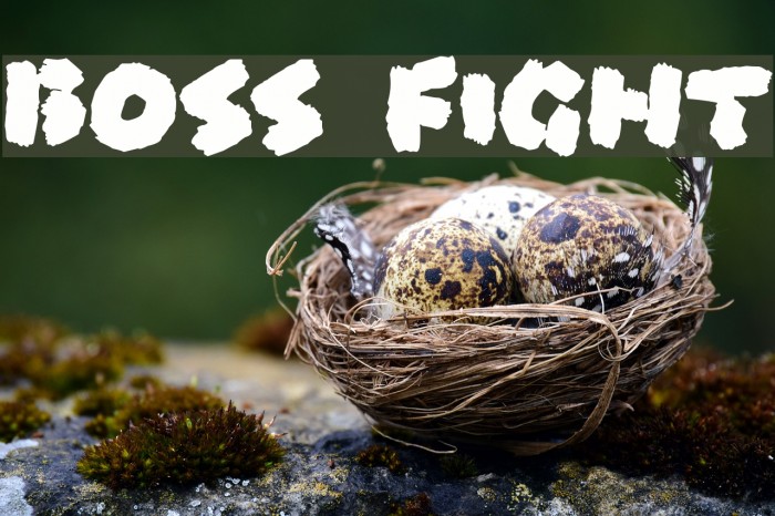 Boss Fight Font examples