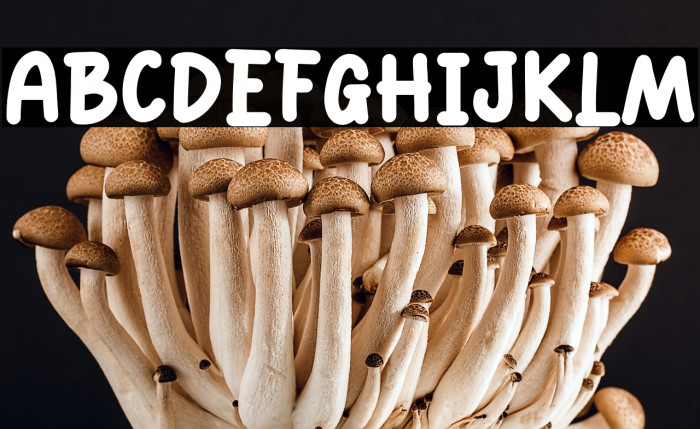 Boss Sound Example 1