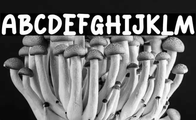 Boss Sound Polices examples