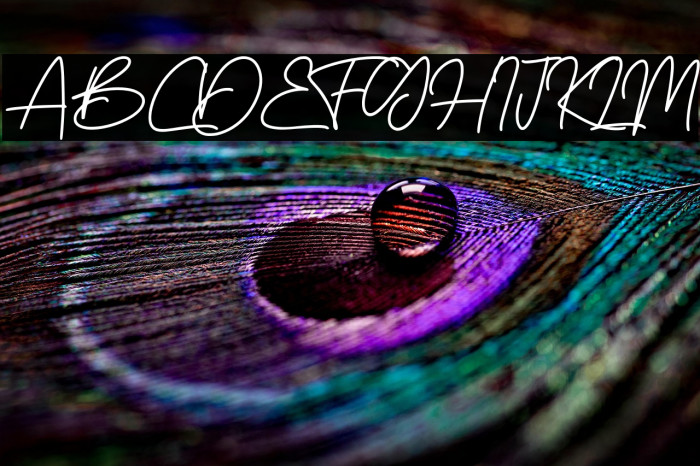 BossSignature Example 2