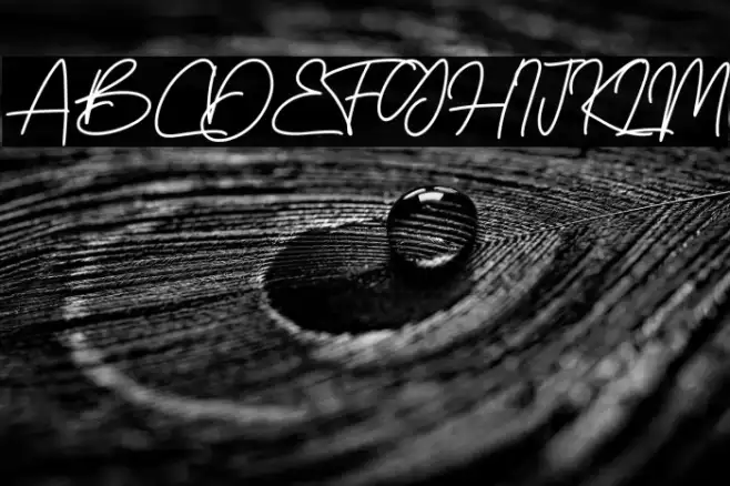 BossSignature Example 2
