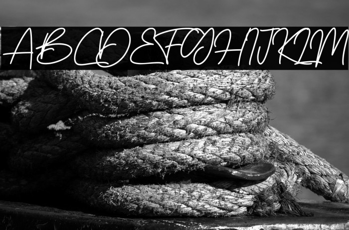 BossSignature Example 3