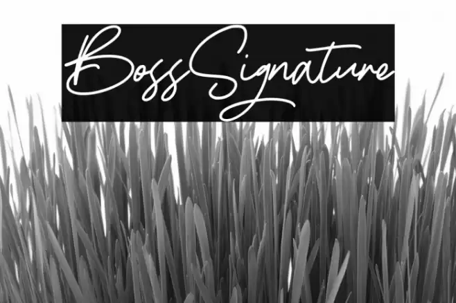 BossSignature Font examples