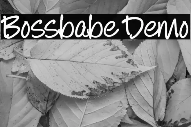 Bossbabe Demo Шрифта examples