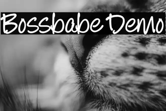 Bossbabe Demo Шрифта examples
