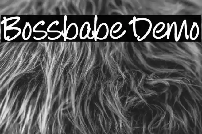 Bossbabe Demo Шрифта examples