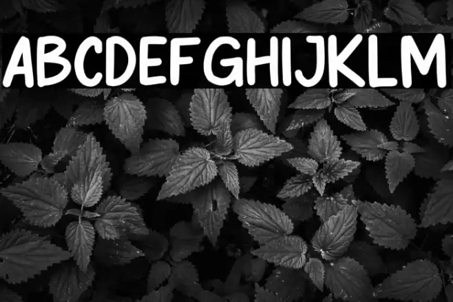 Bosse PERSONAL USE ONLY! Шрифта examples