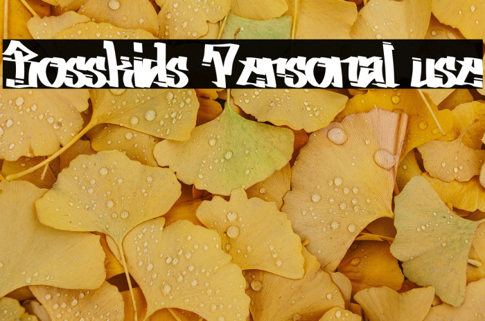 Bosskids Personal use Example 1