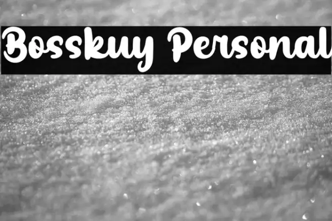 Bosskuy Personal Example 2