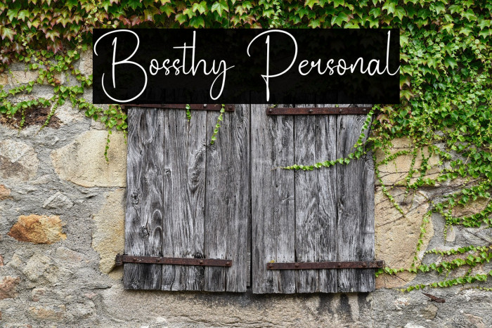 Bossthy Personal Example 1