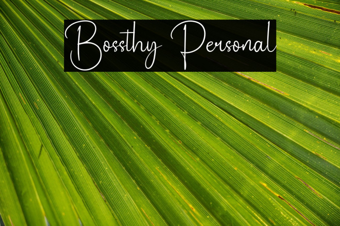 Bossthy Personal Example 2