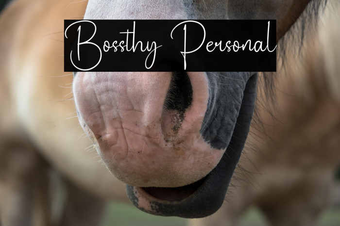 Bossthy Personal Example 3