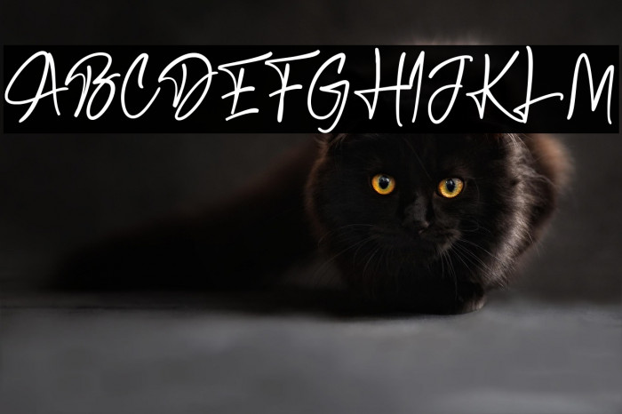 Bosstony 3 Example 3