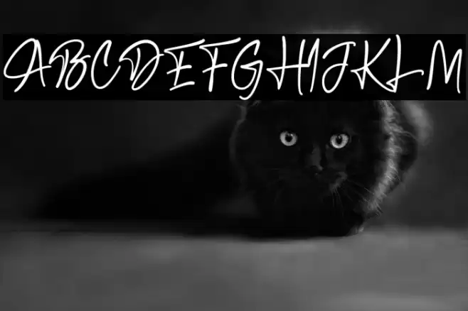 Bosstony 3 Font examples