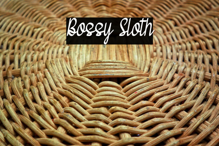 Bossy Sloth Example 1