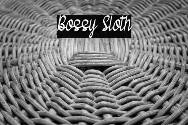 Bossy Sloth Example 1