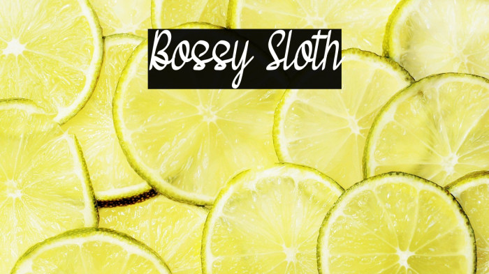 Bossy Sloth Example 2