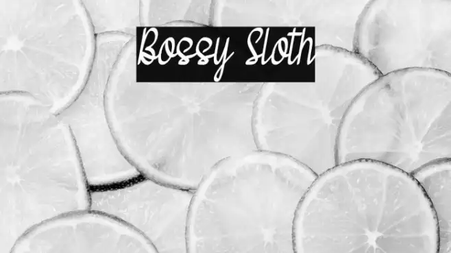 Bossy Sloth Example 2