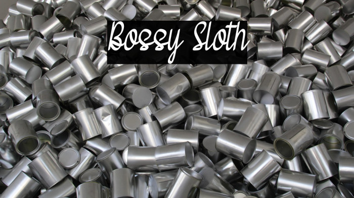 Bossy Sloth Example 3