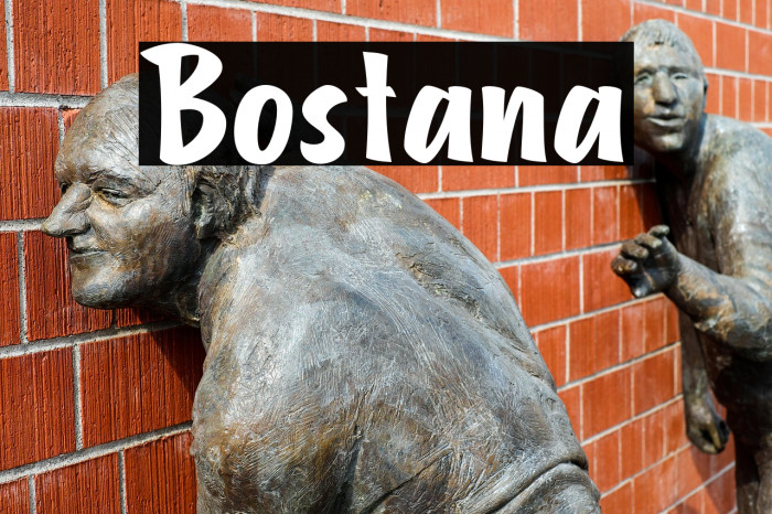 Bostana Example 1
