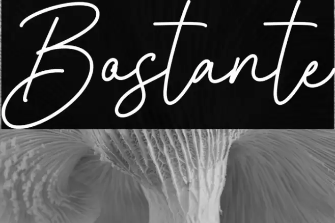 Bostante Font examples