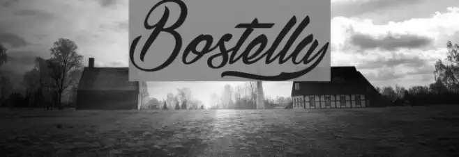 Bostellaµ Example 1