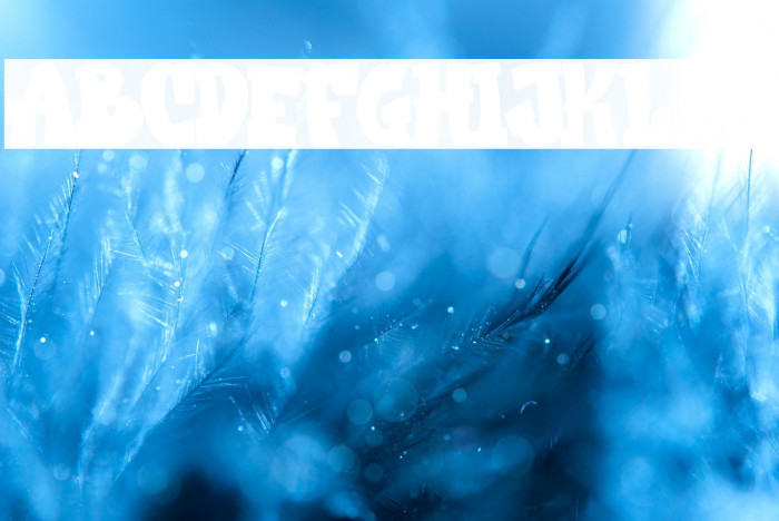 Bostero Personal Use Example 2