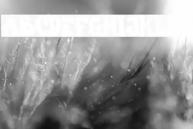 Bostero Personal Use Font examples