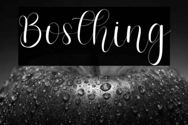 Bosthing Font examples