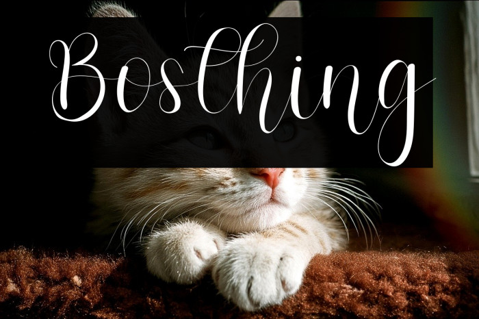 Bosthing Example 2