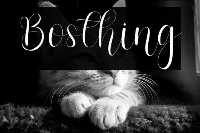Bosthing Font examples