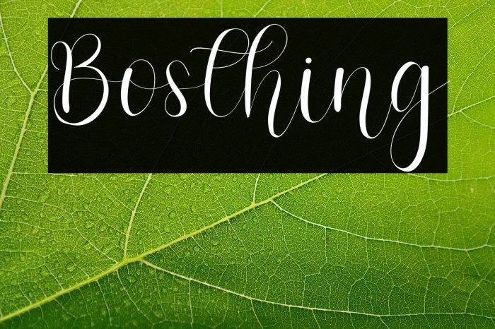 Bosthing Example 3