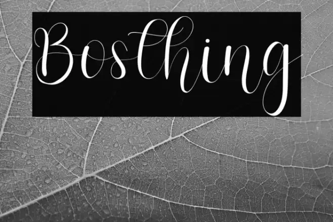 Bosthing Font examples