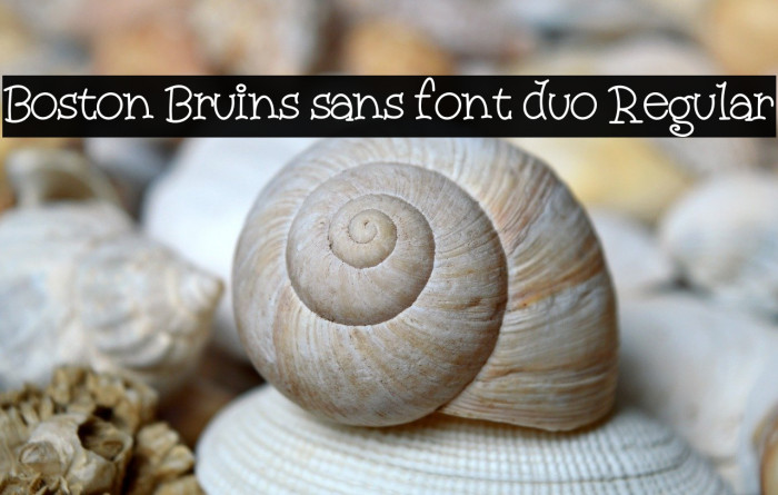 Boston Bruins sans font duo Regular Example 1