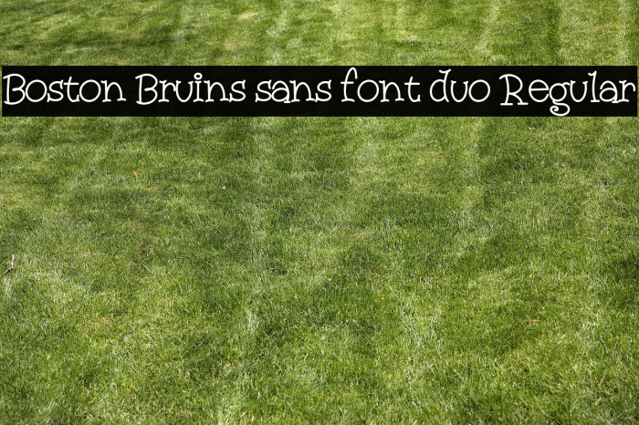 Boston Bruins sans font duo Regular Example 2