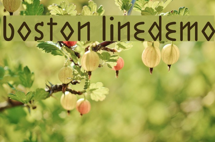 Boston LineDemo Font examples