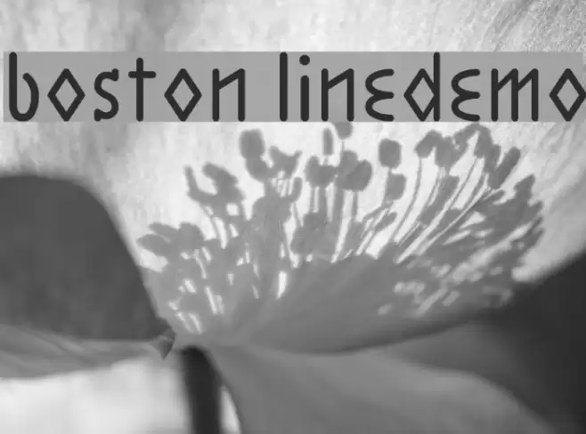Boston LineDemo Font examples