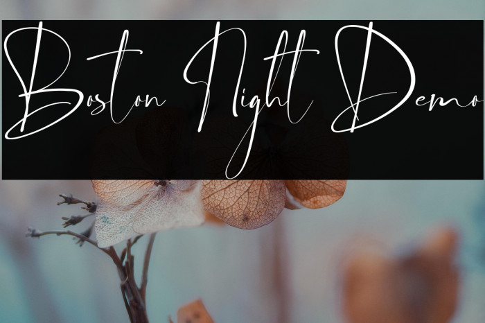 Boston Night Demo Example 1