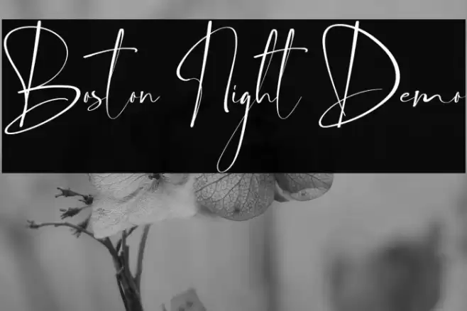 Boston Night Demo Font examples