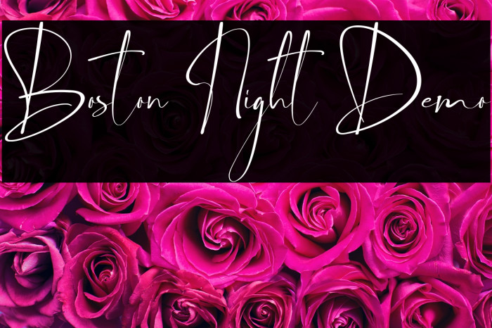 Boston Night Demo Example 3