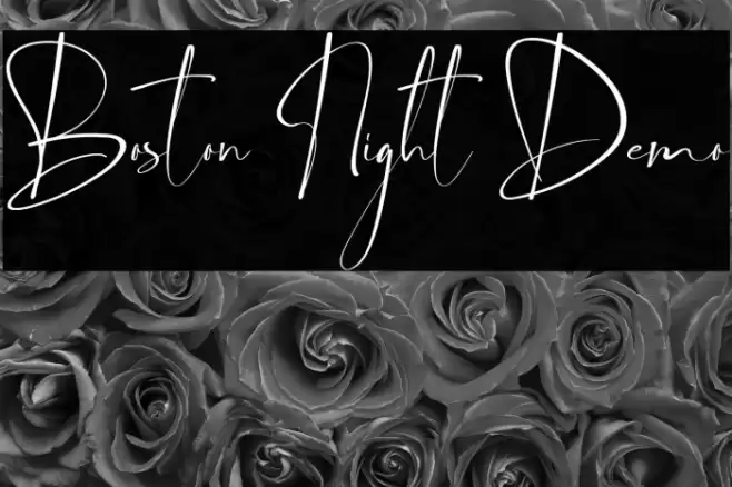 Boston Night Demo Font examples