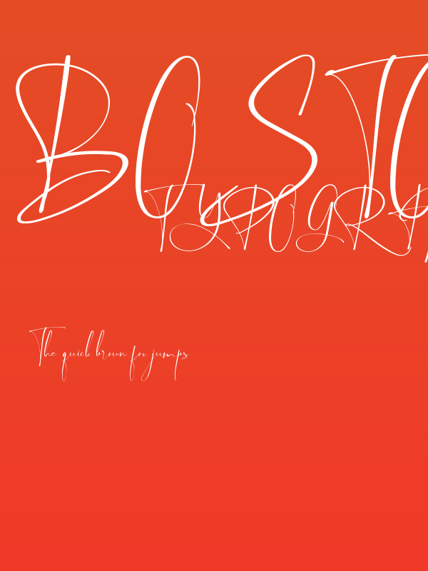 Boston Night Demo Poster