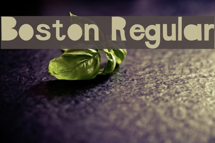 Boston Regular फ़ॉन्ट examples